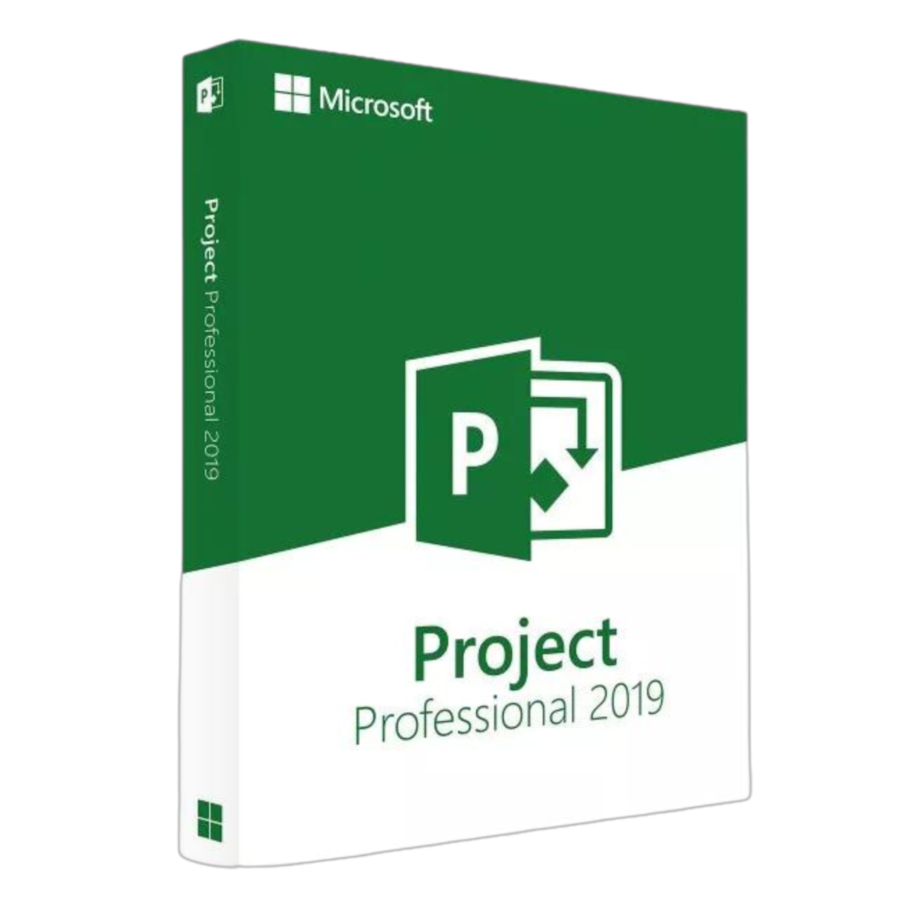 Project 2016 Professional