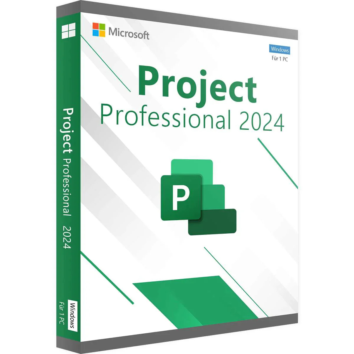 Project 2019 Professional